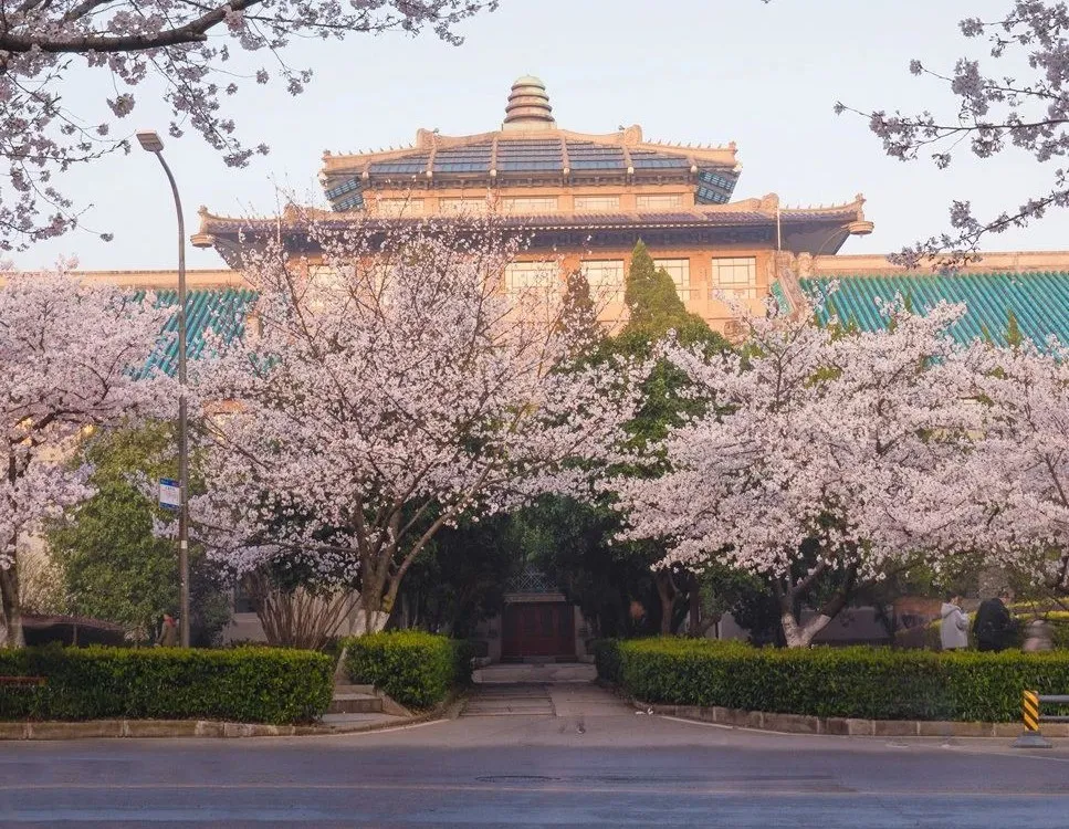 高考查分那晚,你在想……(圖3) 高考查分那晚,你在想……(圖3)